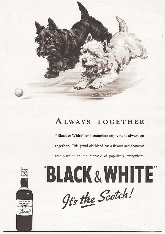 BLACK & WHITE - Easy to recognise . . . BLACK & WHITE SCOTCH WHISKY. JAMES  BUCHANAN & COMPANY LIMITED, GLASGOW, SCOTLAND. | Brand-History